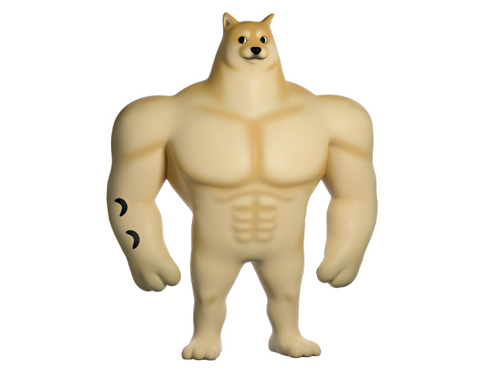 SWOLE DOGE. YOU TOOZ