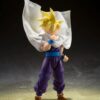 Gohan Fighter Who Surpassed Goku Bandai Ecuador.